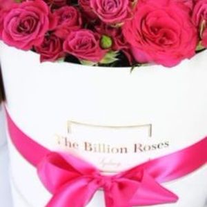 POSH Love and Thanks to My Fabulous  Clients